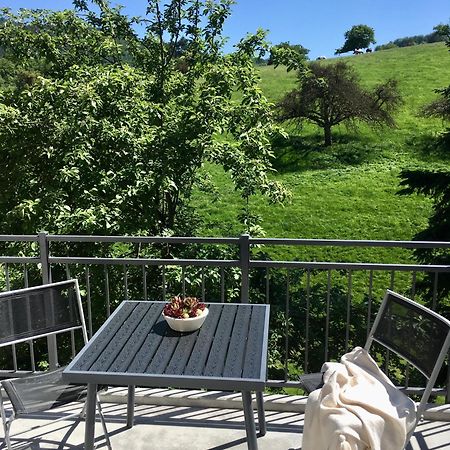 Weinheim Apartments Екстериор снимка